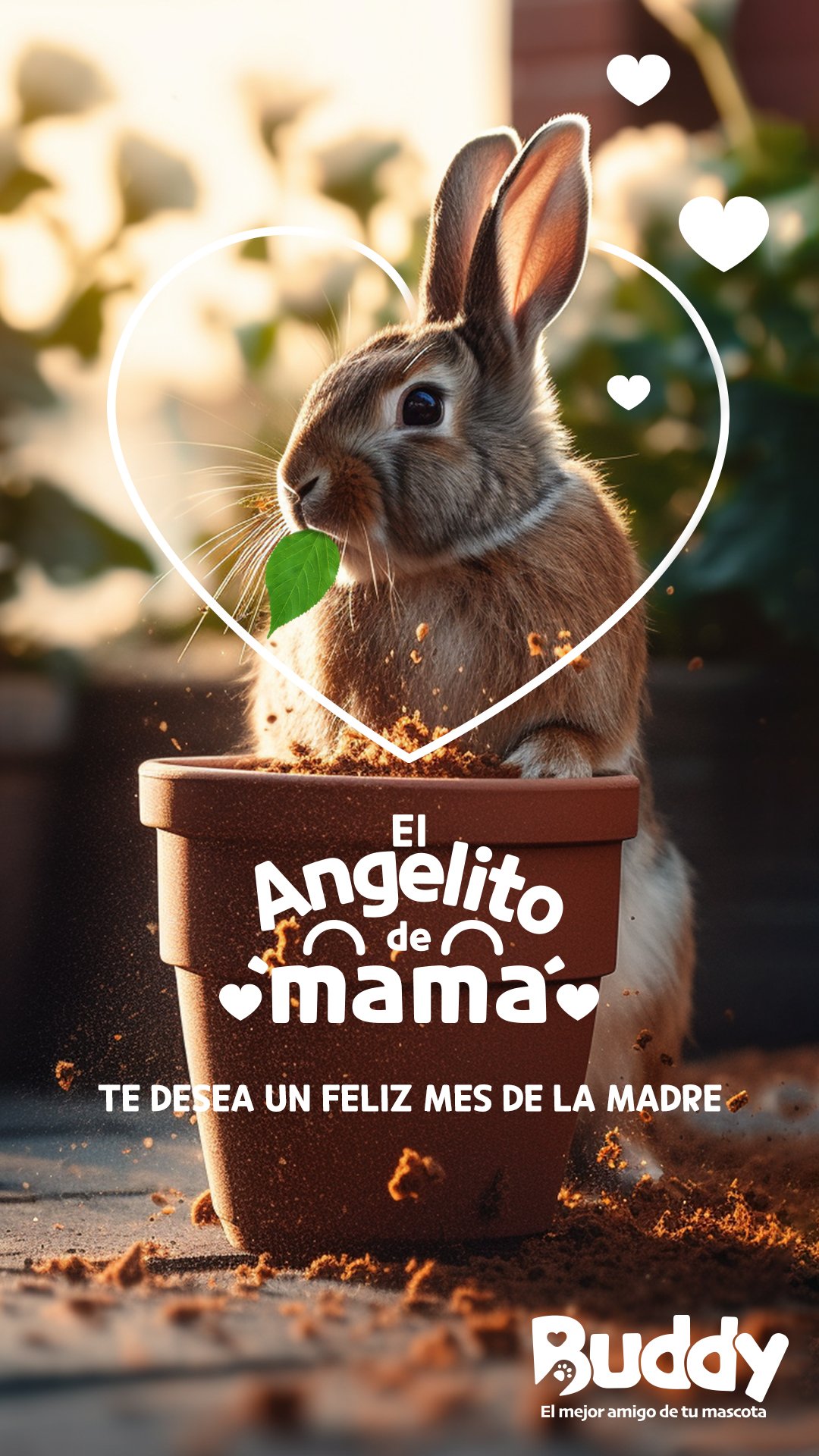El Angelito de mamá story Bunny
