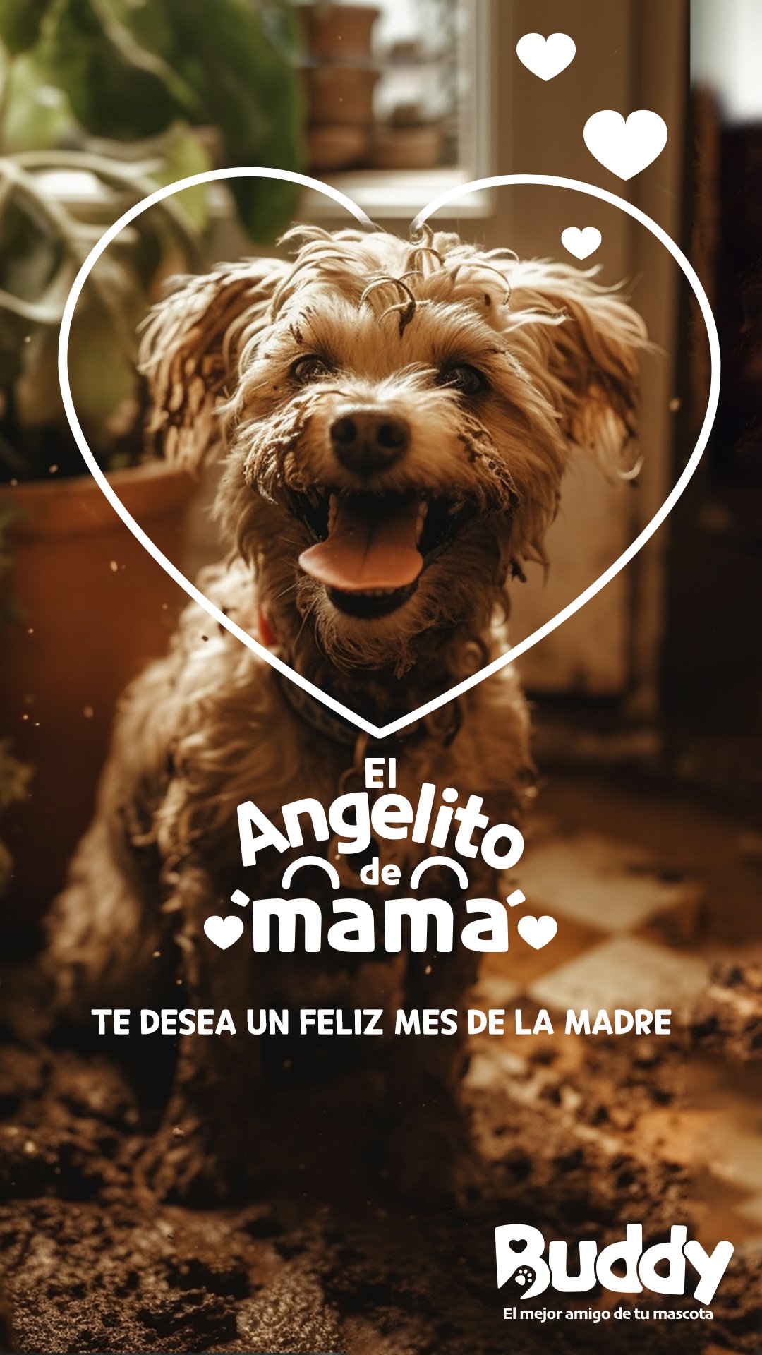 El Angelito de mamá story Doggy