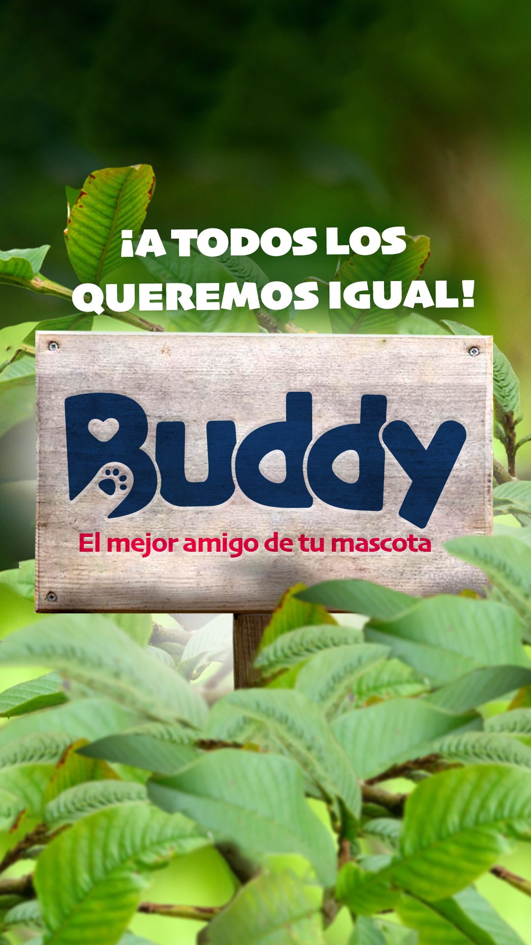 A-Buddy Stories 1-2023 chambrositos o calladitos logo