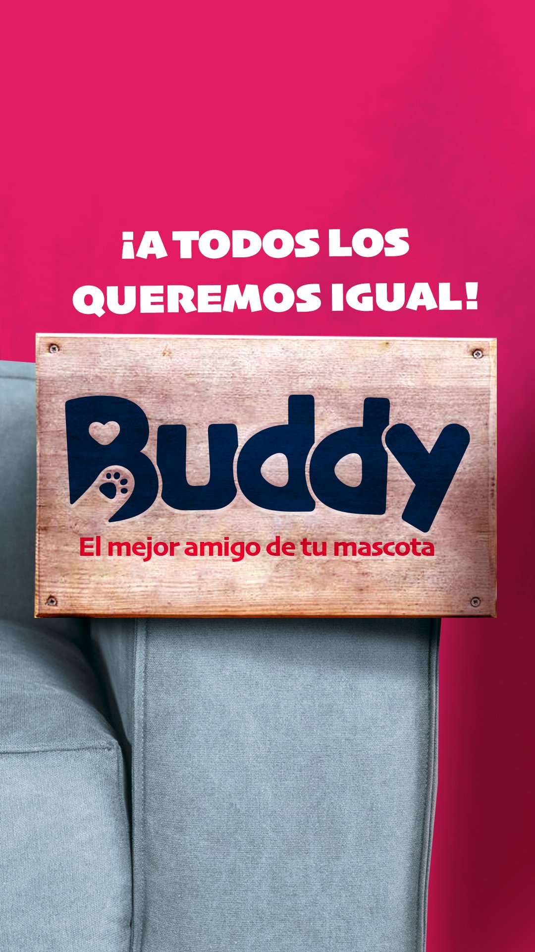 B-Buddy Stories 1-2023 grandes chiquitos logo