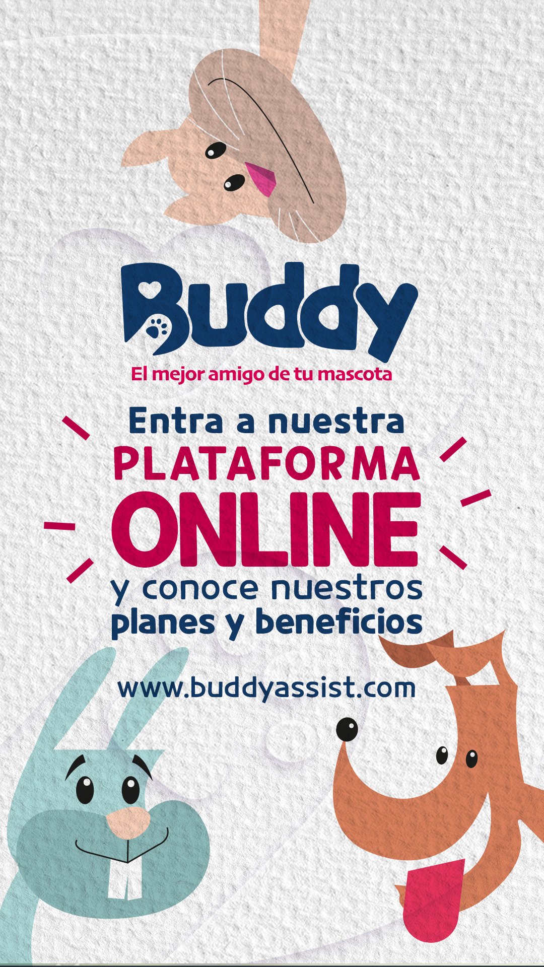 Buddy story beneficios ONLINE