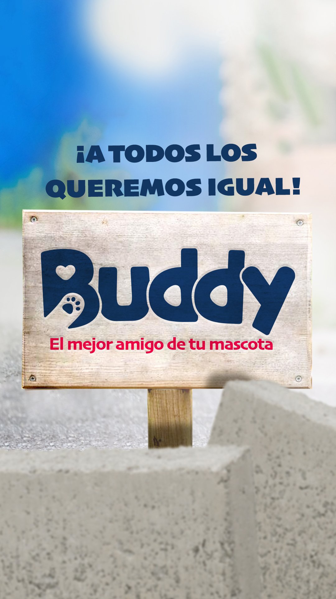 D-Buddy Stories 1-2023 peludos pelones logo